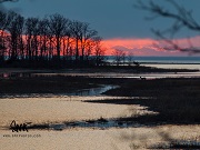 Caumsett State Historic Park